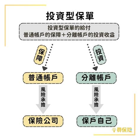 投資型保單甲乙丙丁戊|投資型保單是什麼？傳統保單VS.自行投資差異在哪？。